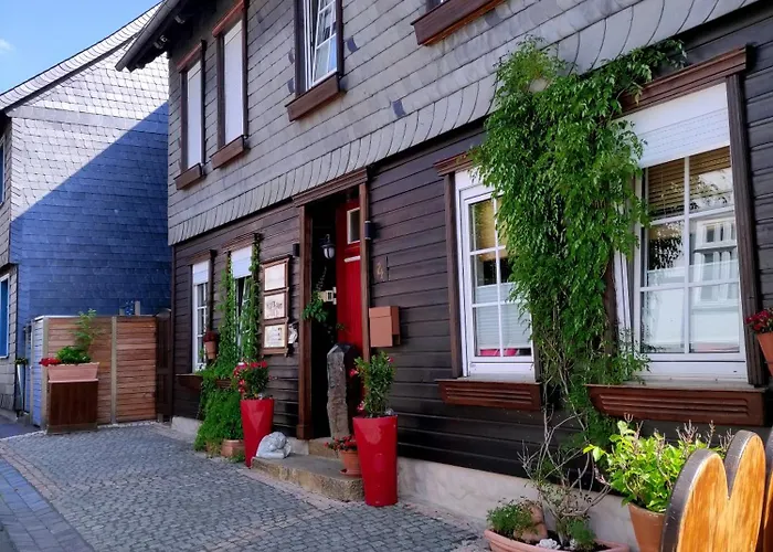 公寓 Gaestehaus Franz 戈斯拉尔